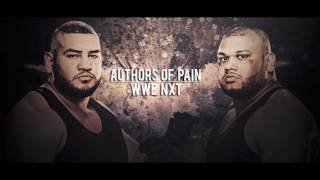 WWE The Authors Of Pain Theme Song Pain  Arena Effects [upl. by Enaols]