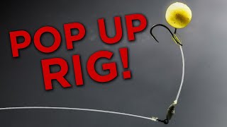 How To Tie and Use The Stiff Hinge Rig [upl. by Zwart787]