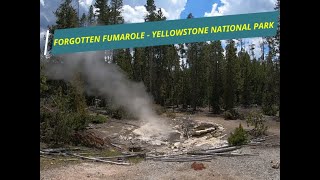 One Minute Wyoming  Forgotten Fumarole in Yellowstone National Park  Very Hot Steam Vent [upl. by Regan346]