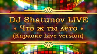 DJ Shatunov  Что ж ты лето Karaoke Cover Live version [upl. by Pepito795]