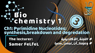 Biochemistry 1 Ch1 part 3  Pyrimidine Nucleotides synthesis breakdown and salvage [upl. by Nimzaj717]