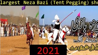 Madrotta Championship by Shani khan Attock Tent Pegging Mega Event Pakistan EMERGING PAKISTAN [upl. by Ecnaled]