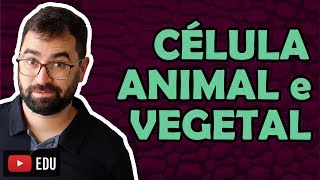 Célula Animal e Vegetal  Aula 17  Módulo I Biologia Celular  Prof Gui [upl. by Irdua]