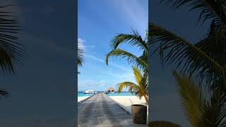 vela resort entrence maldives travel shortsfeed [upl. by Analrahc]