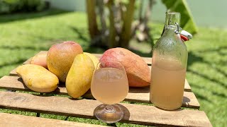 MANGO WINE how to make at home  Healthy Homemade Wine without Yeast  Easy recipe for beginners [upl. by Reivaz]