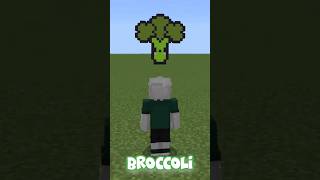 IK GEEF MIJN BROERTJE EEN BROCCOLI IN MINECRAFT [upl. by Teryn388]