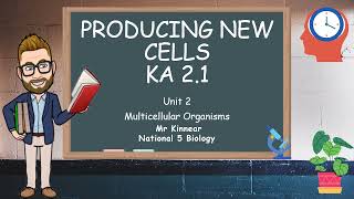 Producing New Cells National 5 Biology KA 21 [upl. by Ttihw883]