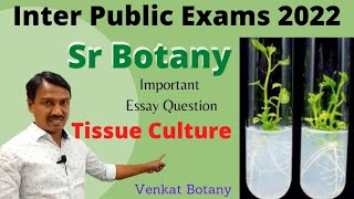 Tissue Culture Technique  Sr Botany Important Questions Venkat Botany [upl. by Esyned849]