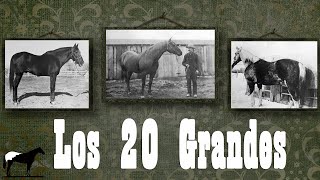 Líneas Fundación De la Cuarto De Milla Quarter Horse ¿Qué Son quotPadres De La Razaquot 🐴Del Cerro Soy [upl. by Lockwood]