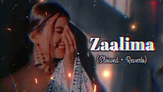 Zalima Song 😍♥️  Slowed And Reverb  Shahrukh Khan [upl. by Einial926]