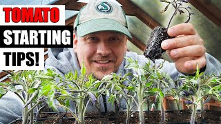 8 Tomato Seed Starting Tips For 2024 [upl. by Agbogla]