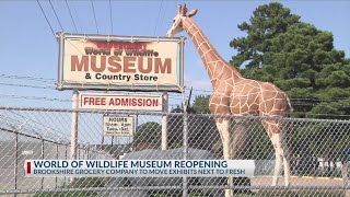 Brookshires to reopen wildlife museum in 2025 [upl. by Daveta32]