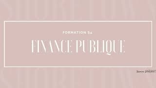 FINANCE PUBLIQUE  Introduction [upl. by Jacintha]