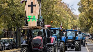 Salaires normes européennes A Toulouse les agriculteurs font de nouveau entendre leur voix [upl. by Elyag]