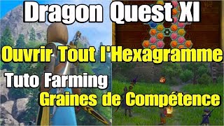 Dragon Quest XI  Tuto Farming  Graines de Compétence [upl. by Klos708]