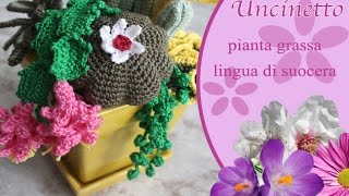 Uncinetto fiore lingua di suocerapianta grassaHow to do plants fat [upl. by Nolly434]