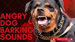 Epic Dog Barking Compilation See How Your Dogs REACTS and Cant Resist [upl. by Yluj893]