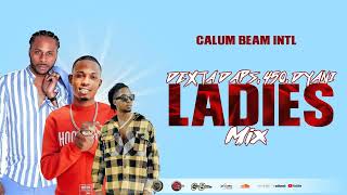 Ladies Dancehall Mix April 2023 Dexta Daps  450  Dyani  Slow Wine  Bedroom Mix Calum beam intl [upl. by Ikaz]