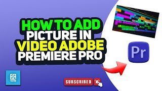 How to add picture in video adobe premiere pro 2024 [upl. by Adnawal]