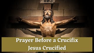 Prayer Before The Crucifix Prayer to Jesus Crucified [upl. by Annoek]