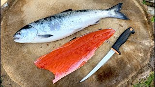 How to Fillet Salmon Detailed StepByStep NO Gutting Required [upl. by Frasco653]