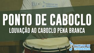 Ponto de Caboclo  Louvação ao Caboclo Pena Branca [upl. by Marleah]