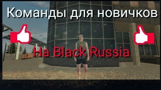 Список команд для новичков по Black Russia [upl. by An]