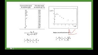 Cinética enzimática Inhibición por sustrato [upl. by Merilyn]