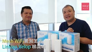 Mesh WiFi 實測王者 Linksys Velop 睇真啲 [upl. by Ainavi]