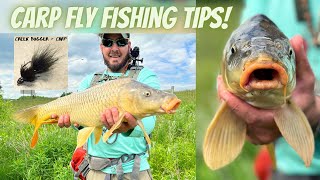 3 Tips To Improve Your Carp Fly Fishing Game  The Fly Guy [upl. by Alvie]