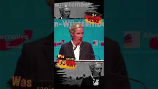 Zu wenig Geld für harte Arbeit deutschland news nachrichten politik new shorts afd weidel [upl. by Derman]