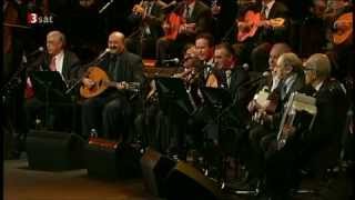 El Gusto Masters of Chaabi Reunite  Ya Rayah  LIve Berlin Jazz Festival  greglloydmusiccom [upl. by Abehsat]