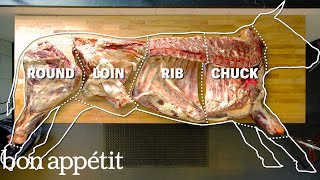 How To Butcher An Entire Cow Every Cut Of Meat Explained  Bon Appetit [upl. by Witkin]