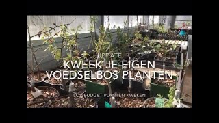 Voedselbos planten kweken [upl. by Ashlen188]