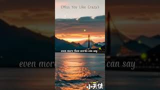 👼🚀《Miss You Like Crazy》♫₊˚🎧 ✩｡ 【歌詞 Lyrics】 •̯́  •̯̀づ๑•ᴗ•๑づ♡༼´༎ຶ ۝ ༎ຶ༽ [upl. by Namyac]