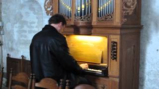 A cheery chirpy organ improvisation by Sietze de Vries [upl. by Gilbart]