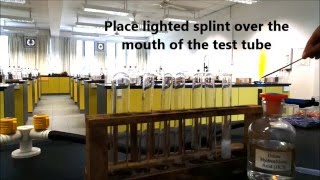 Reaction of acid and metal with test for hydrogen gas [upl. by Schuler34]