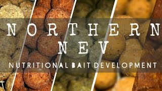 How to Nutritional Bait Development  Northern Nev boilies carp fishing [upl. by Alemak]