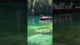 Switzerland 🇨🇭 blausee switzerland youtubeshorts greenlove swissbeauty swisslove [upl. by Ssac]