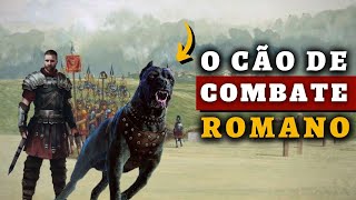 Canis Pugnax  O CÃO DE COMBATE do Soldado Romano [upl. by Dun684]