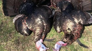 spring turkey season 2024 podcast [upl. by Senior]