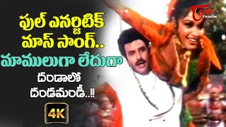 NBK Full Energetic Song  Dandalo Dandamandi Song with 4K  Vansanikokkadu Movie  Old Telugu Songs [upl. by Anibor751]