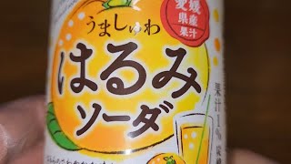 SANGARIA 愛媛県産果汁 うましゅわはるみソーダ はるみのさわやかな味わいとはじける爽快感！ 果汁1 炭酸飲料 ●内容量：500ml [upl. by Anastasie351]