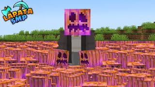 Using Pumpkins to get revenge on my enemies in Lapata SMP [upl. by Eiclud]