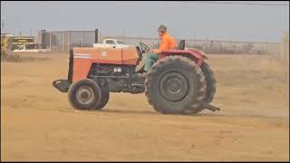 MASSEY FERGUSON TRACTOR RUNNER For Sale [upl. by Lauryn981]