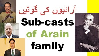 SubCaste of Arain  آراءيوں کی گوتيں  mian  ramay  chaudhry  mehar  bhutta  bhutto  JH TV [upl. by Mcgurn]