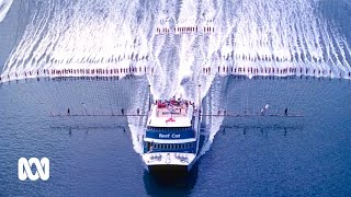 How Cairns broke a mass waterskiing record nearly 40 years ago 🛥️ 🌞🏆  ABC Australia [upl. by Atsillak463]