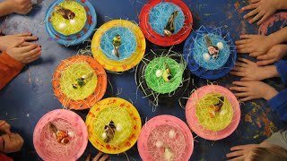 Make a bird nest with paper plates [upl. by Genvieve88]