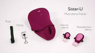 SisterU Multi Uterus Trainer [upl. by Aketahs]