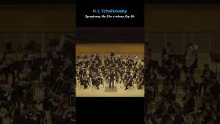 🎻 PI Tchaikovsky  Symphony No5 in e minor Op64  아름다운 선율에서 느껴지는 따뜻한 위로 🎼 [upl. by Ennovihs759]